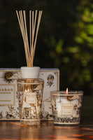 GIFT BOX MY FIRST BAOBAB TOMORROWLAND