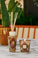 GIFT BOX MY FIRST BAOBAB MEXICO