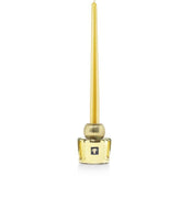 CANDLE HOLDER TWINS LES EXCLUSIVES AURUM