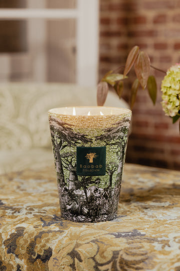 SCENTED CANDLE SACRED TREES TOUBA