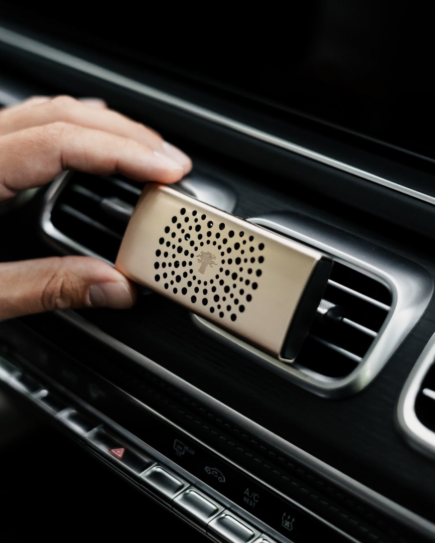 CAR DIFFUSER WHITE PEARLS