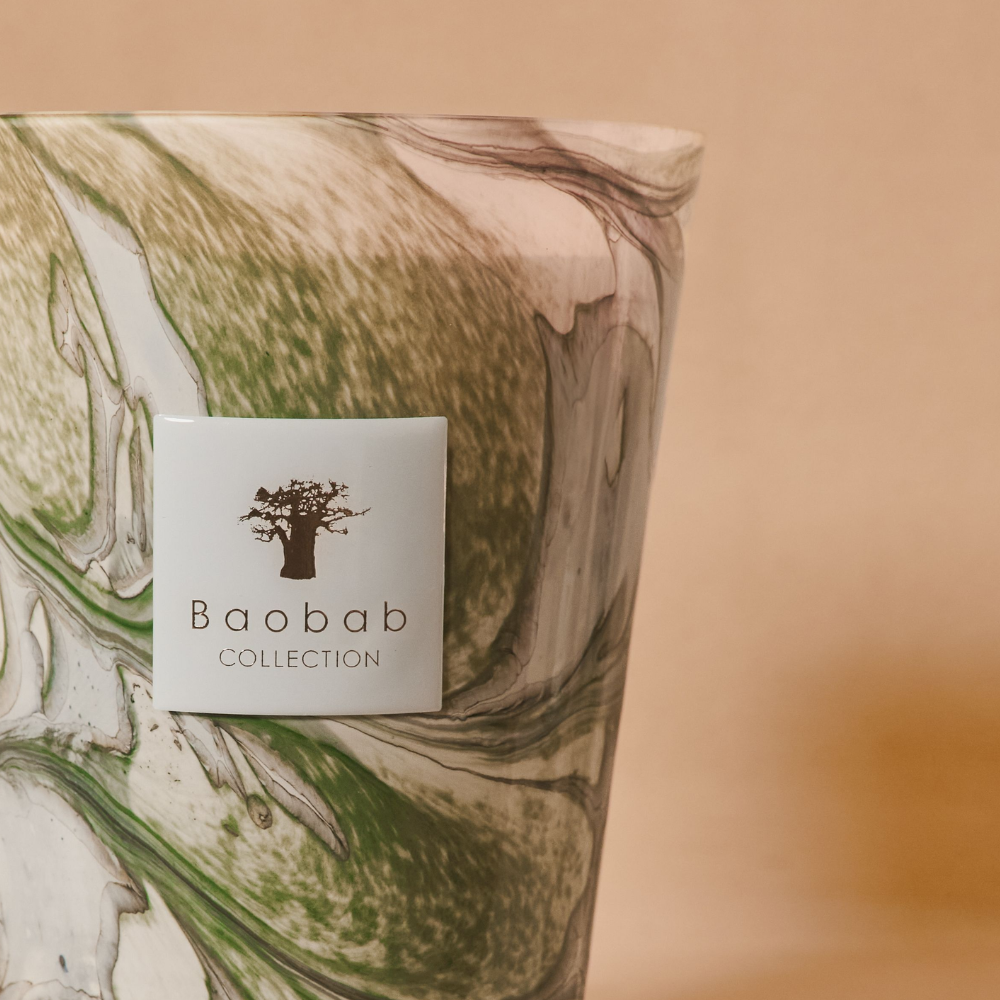 <p>alive with light</p>