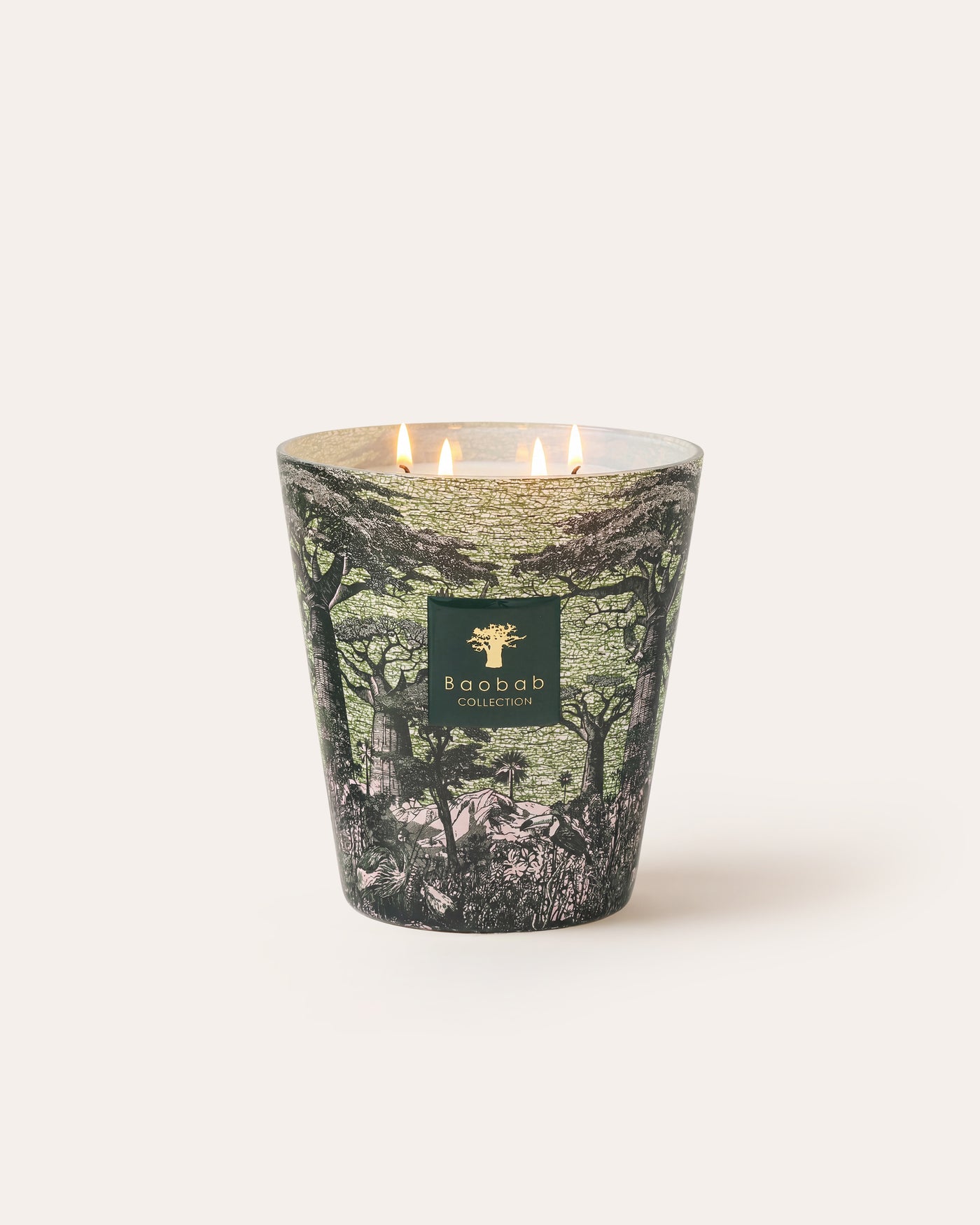 SCENTED CANDLE SACRED TREES TOUBA SIGNATURE