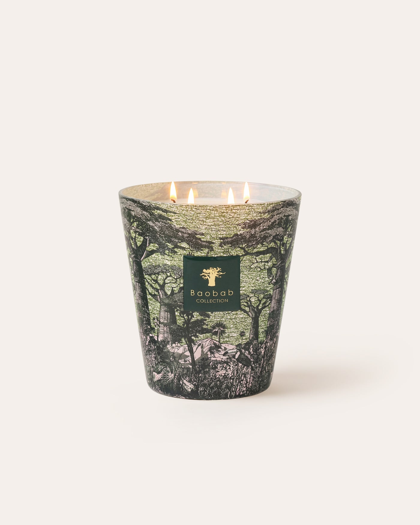 SCENTED CANDLE SACRED TREES TOUBA