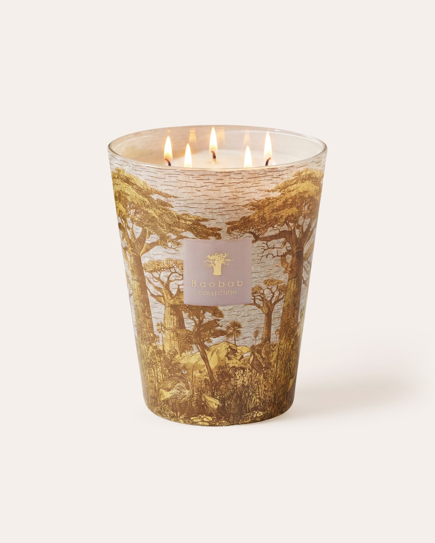 SCENTED CANDLE SACRED TREES BOUNKANI